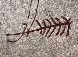 Door Bjoertvedt (Eigen werk) [CC BY-SA 3.0 (https://creativecommons.org/licenses/by-sa/3.0)], via Wikimedia Commons