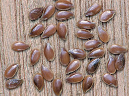 By Rasbak (Own work) [GFDL (https://www.gnu.org/copyleft/fdl.html) or CC BY-SA 3.0 (https://creativecommons.org/licenses/by-sa/3.0)], via Wikimedia Commons