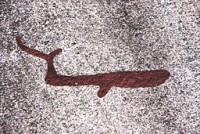 /album/fotogalerij-rock-art/tanum-1-vitlycke-id-10160600010001-img-8519-jpg/