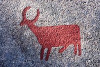 /album/more-food/tanum-255-fossum-id-10160602550001-img-8648-jpg/