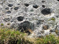 /album/gods-music-and-acrobats/a256px-ekornavallen-raa-nr-hornborga-29-1-skalgropar-pa-ganggrift-3590-jpg/